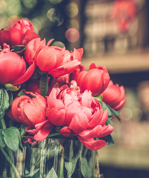 flower-shop5 (2)