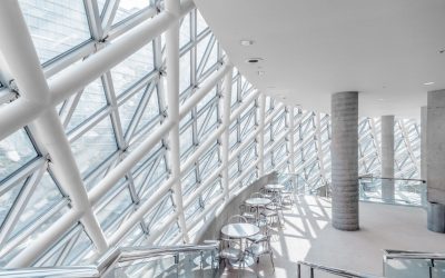 Excepteur Sint Accaecat Painful Fault Annoying