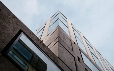 Sed Perspiciatis Unde Omnis Pleasure Avoids