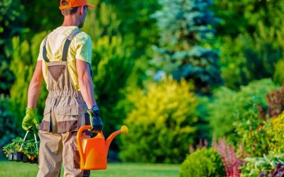 Excepteur Sint Accaecat Painful Fault Annoying