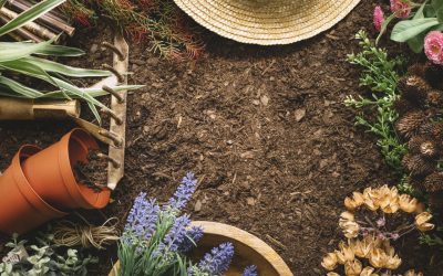 Sed Perspiciatis Unde Omnis Pleasure Avoids