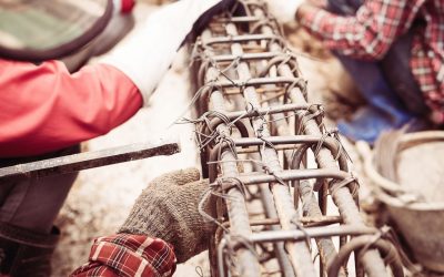 Sed Perspiciatis Unde Omnis Pleasure Avoids