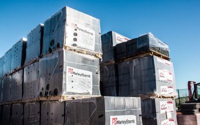 Sed Perspiciatis Unde Omnis Pleasure Avoids