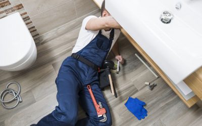 Sed Perspiciatis Unde Omnis Pleasure Avoids Exceur Sante