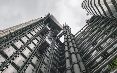 Sed Perspiciatis Unde Pleasure Avoids Frans Coine