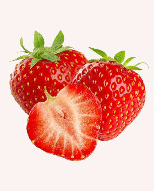 organic-food3 (2)
