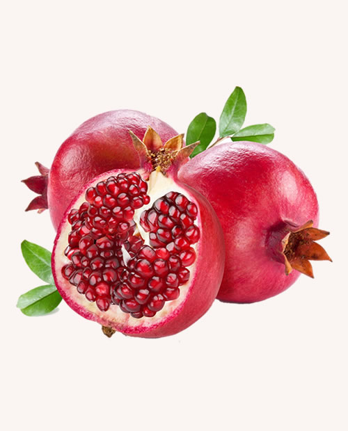 organic-food3 (8)