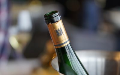 Sed Perspiciatis Unde