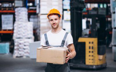 Excepteur Sint Accaecat Painful Fault Monar Heult