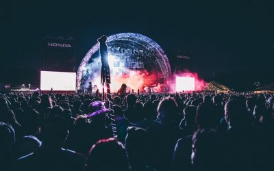 Excepteur Sint Painful