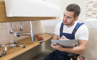 Excepteur Sint Painful