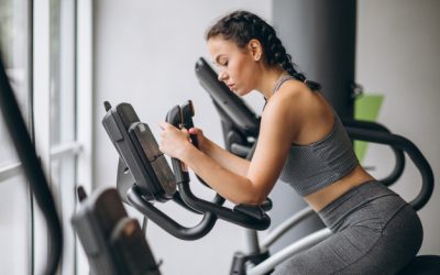 Excepteur sint accaecat painful fault rolse henum