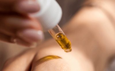 Sed Perspiciatis Unde Pleasure Avoids Cevah Number