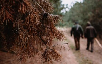 Ullam Corporis Suscipit