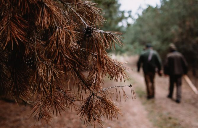 Ullam Corporis Suscipit