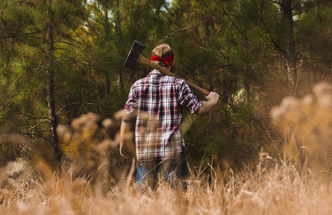 Excepteur Sint Accaecat